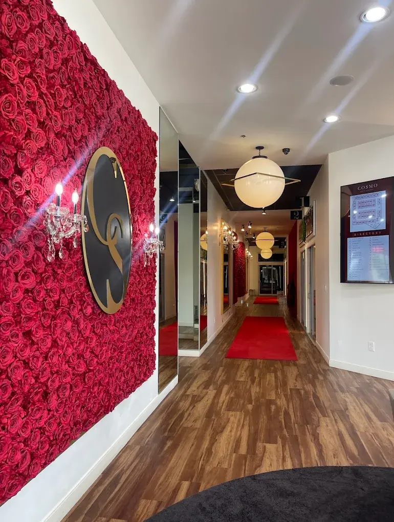 Cosmo Salon Studios — Canton, photo 2